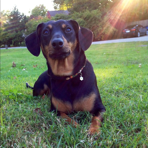 Meet your Posher, Maegan - Picture 3 of 3